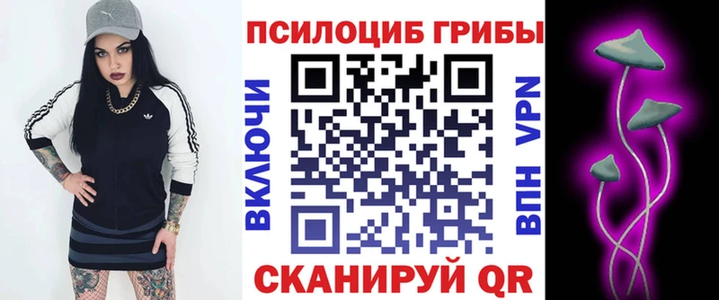 дарнет шоп  Серпухов  Галлюциногенные грибы мухоморы 